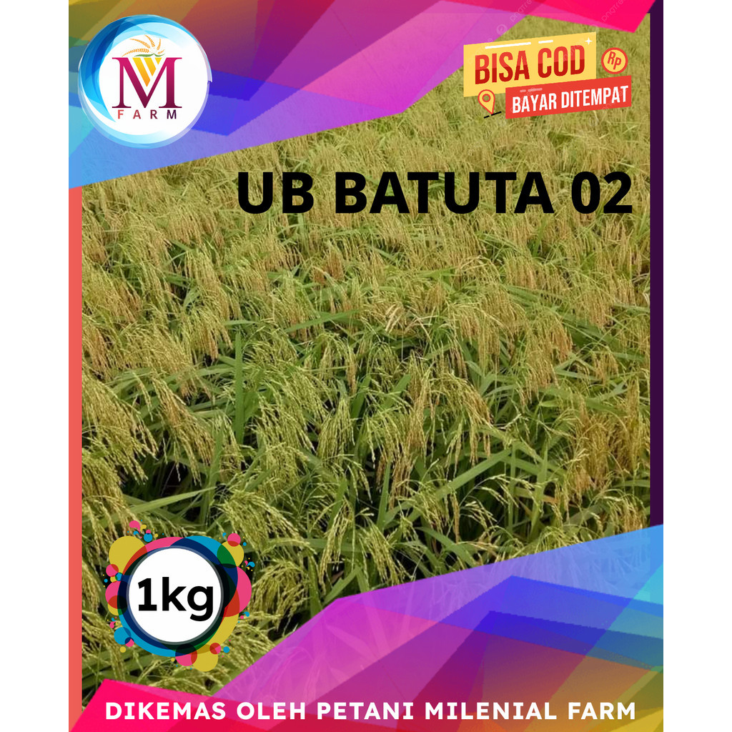 benih padi batuta 02 kemasan 1kg