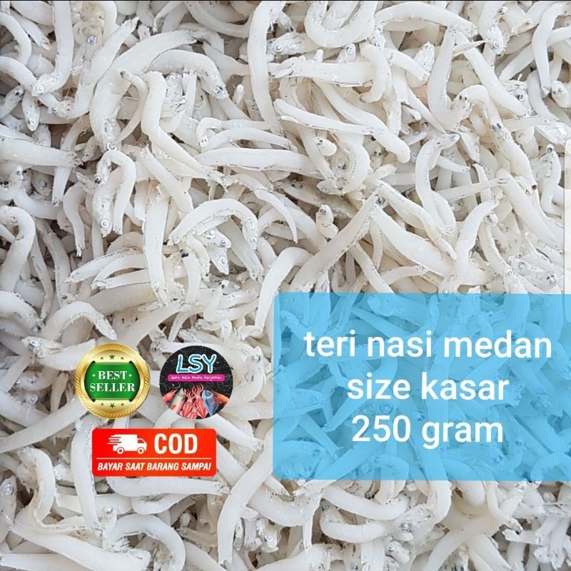 

ikan asin Teri nasi medan super /tn putih/ size jumbo 250gr