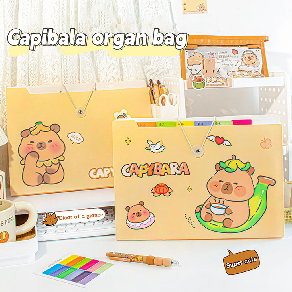 

A4 Data Classification Folder Kawaii Student Large Capacity Accordion Bag School Test Paper Storage Book School Stationery
