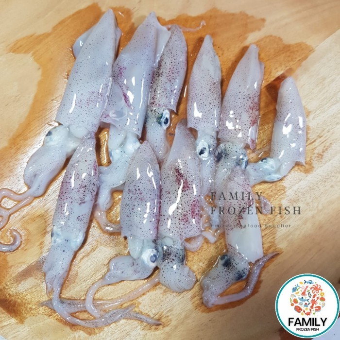 

Cumi Baby Segar Frozen | Baby Cumi Kecil Beku Premium - 3-5 cm 500gr