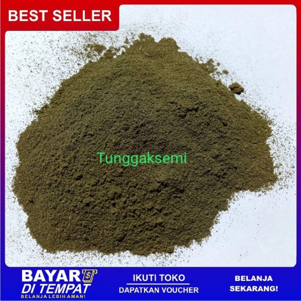 

OMH Terlaris Murah DAUN SENDOK BUBUK 500g Herbal ISPA Peluruh Kencing Darah Bisul Empedu