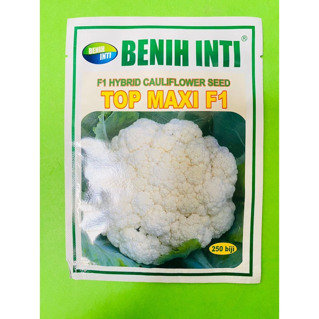 Benih Kol TOP MAXI F1 isi 250 biji dr PT Dinasty Inti Agrosarana
