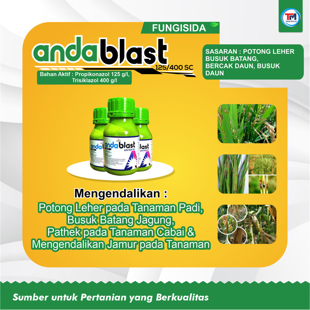 AndaBlast: Fungisida Sistemik Protektif untuk Tanaman Padi - Andafa