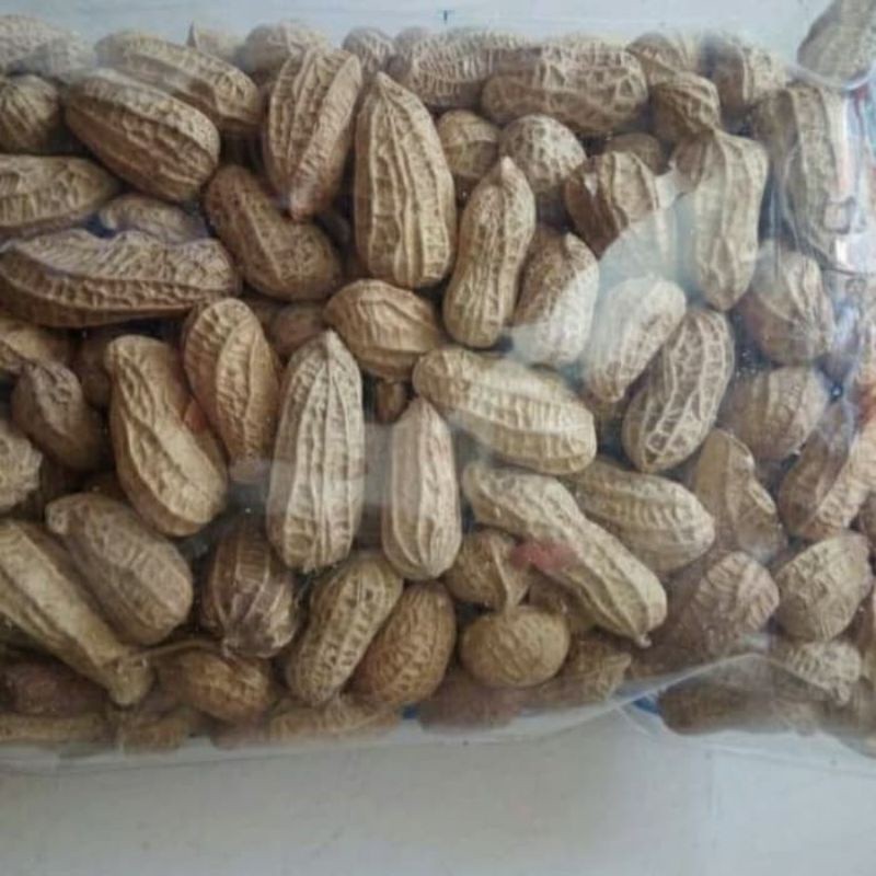 

Kacang Kulit Sangrai 500gram/1kg Kwalitas Super| Halal