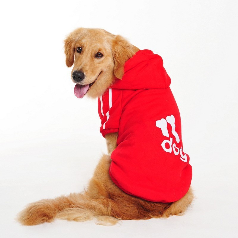 Baju Anjing Besar Untuk Anjing Golden