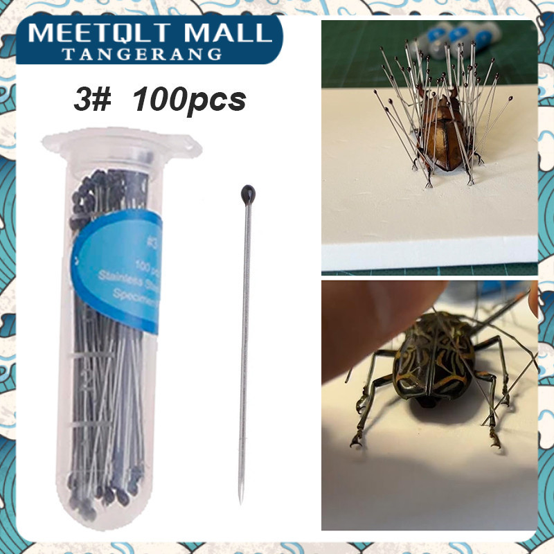 

100pcs Insect Pins Insect Specimen Needle Stain 40mm