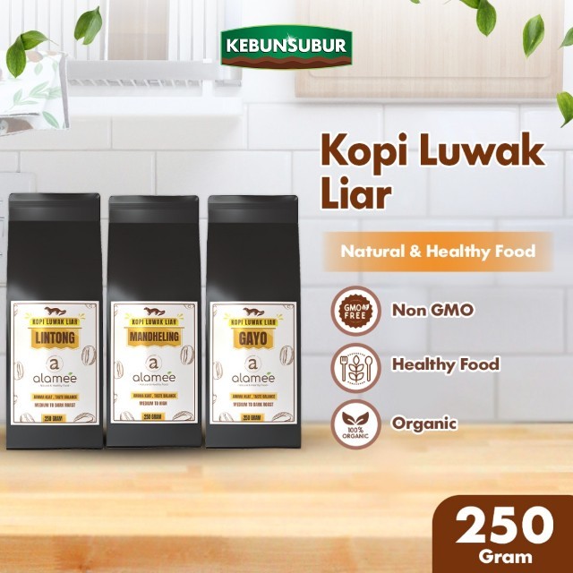 

ALAMEE Kopi Luwak Liar Arabika Aceh Gayo/ Lintong/ Mandheling Non-GMO Wild Civet Coffee 250 gram kebunsubur
