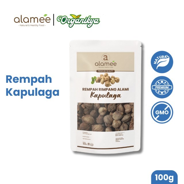

ALAMEE Kapulaga Kering Lokal Cardamom Kapolaga Kapol Rempah Organik Bumbu Seasoning Masakan 100gr organikya