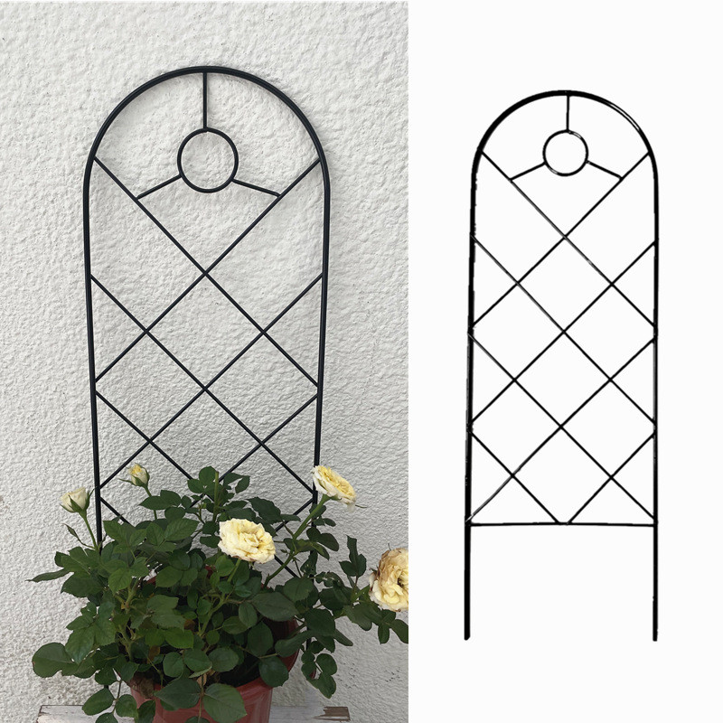 Berkebun gunung kura-kura mawar biru kepingan salju clematis bunga berri memanjat pohon anggur kecil