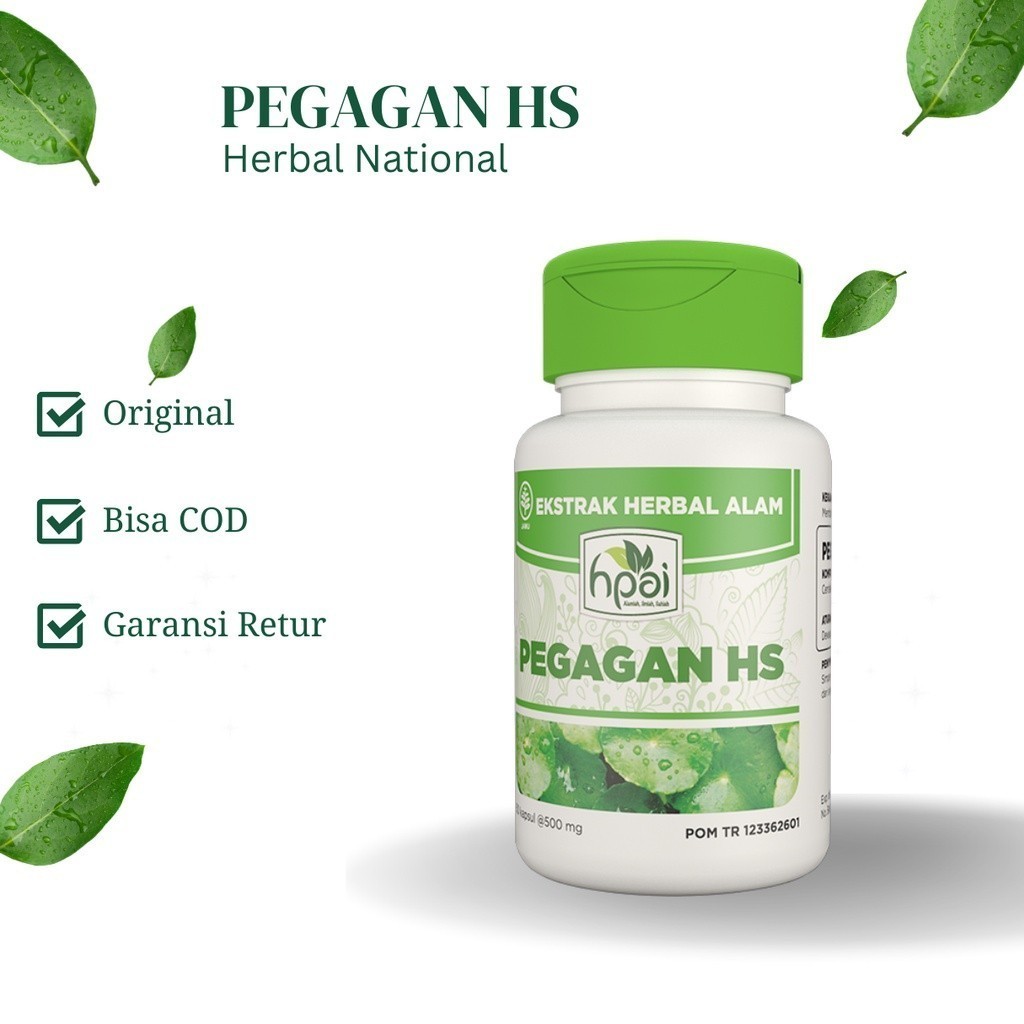 

ORIGINAL Herbal Stroke - PEGAGAN HS - Herba Membantu Sirkulasi Darah Herbal Sembuh dari Stroke -HNI BPOM