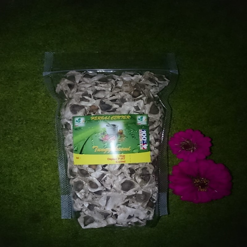 

OMH Terlaris PROMO Biji Kelor Bersayap100 Gram Super