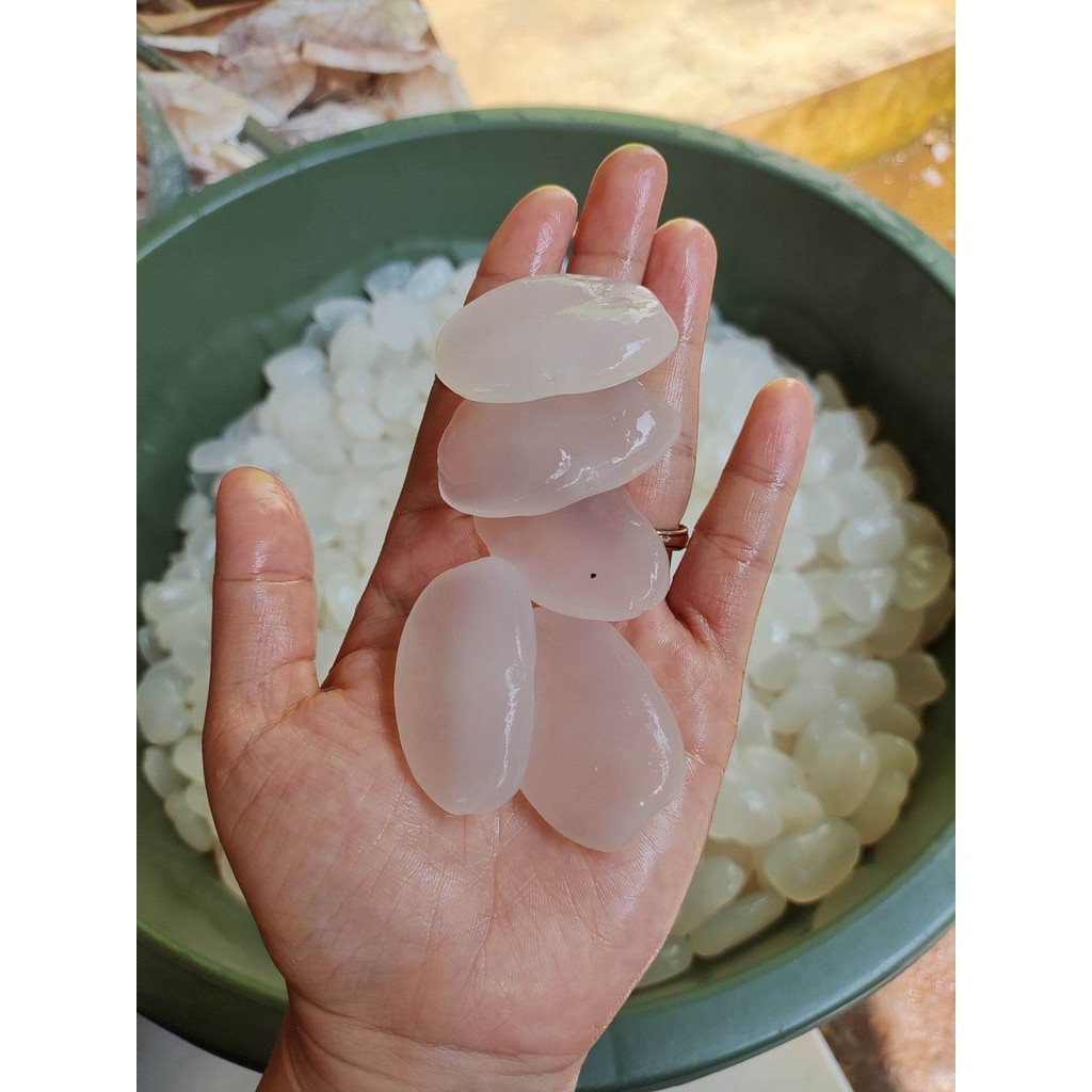 

Gratis Ongkir Kolang Kaling Super Fresh 1 Kg