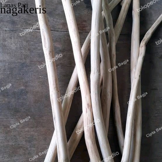 

5 BATANG RANTING JATI 50Cm SUDAH HALUS-TAEK WOOD BRANCH MACRAME FNX011 XD9