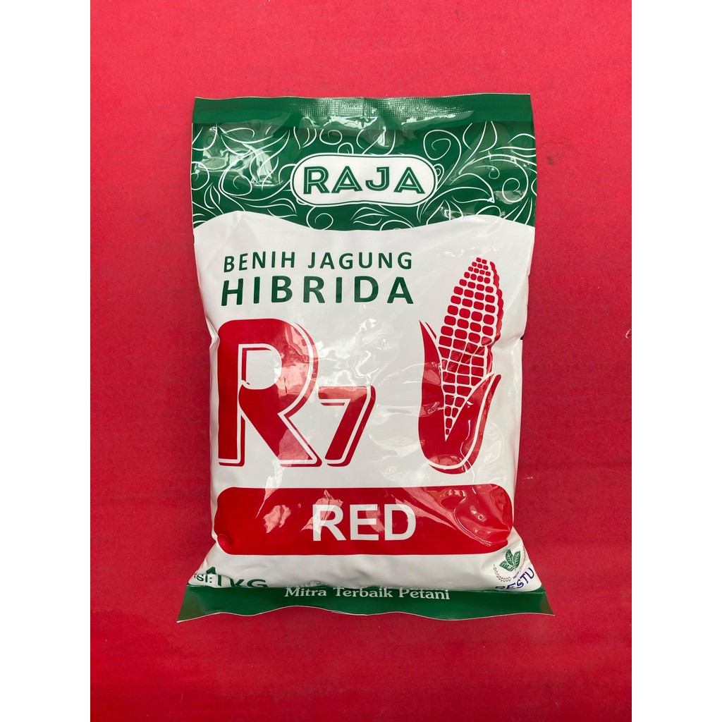 Benih jagung R7 GOLD ULTIMATE RED UNION isi 1kg  hibrida  dari RAJA