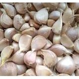 

BAWANG PUTIH KATING 1 kg