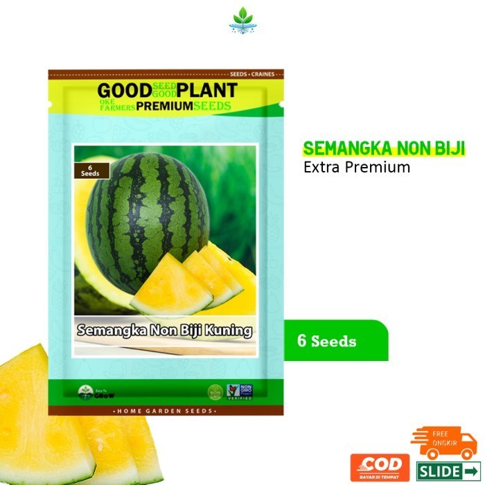 GOODSEED - 6 Biji Benih Bibit Semangka Non Biji Kuning F1