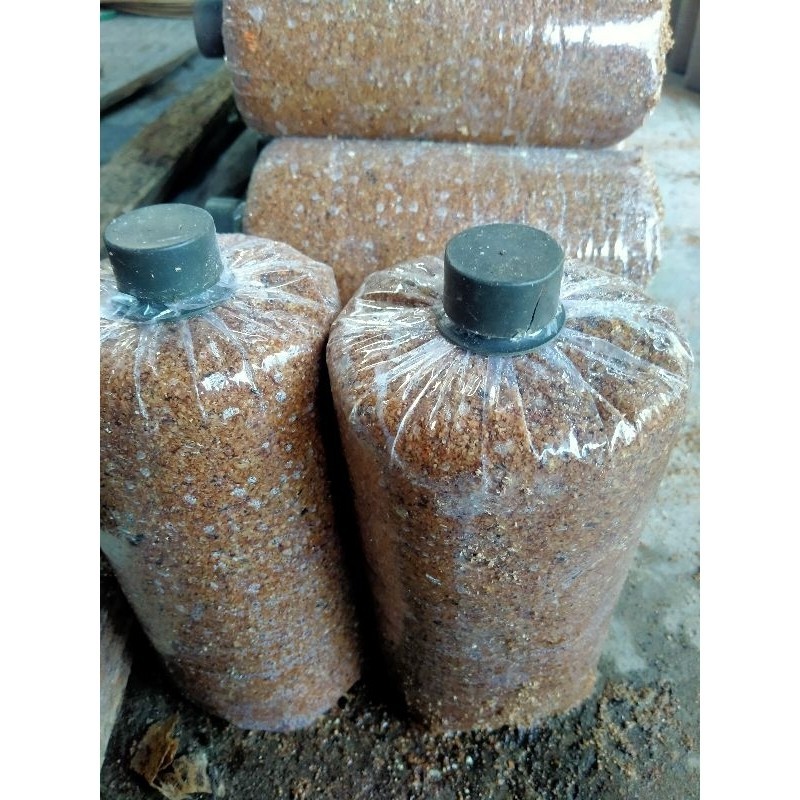 

[PROMO] baglog jamur mentah belum ada bibitnya