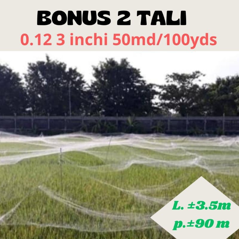 JARING SAWAH 3INCHI 0.12 50/100 PANJANG ±90 METER LEBAR ±3.5 METER JARING BURUNG SAWAH MURAH