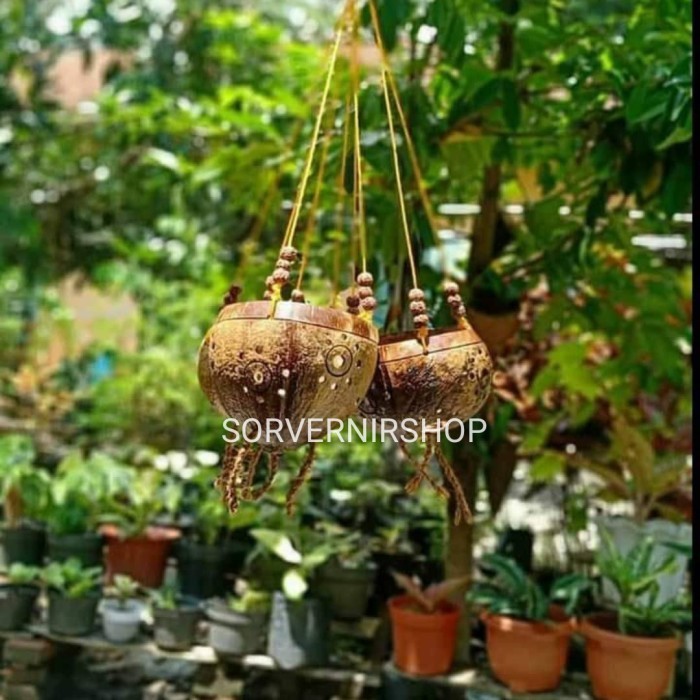 pot bunga batok kelapa gantung ukir