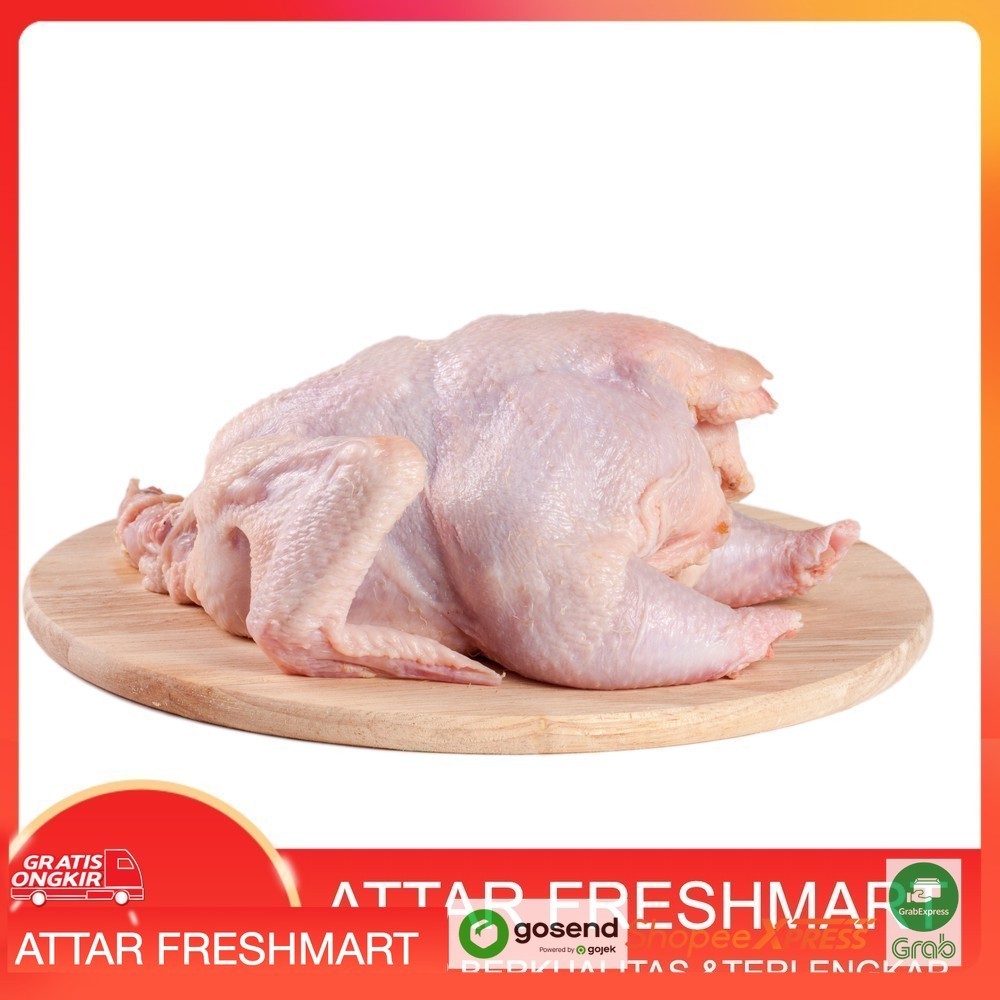 

Ayam Utuh Segar / Ayam Langsung Potong / Ayam Broiler (700-800Gram)