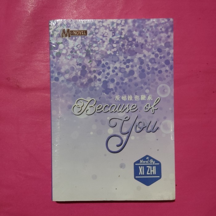 novel because of you by xi Zhi
