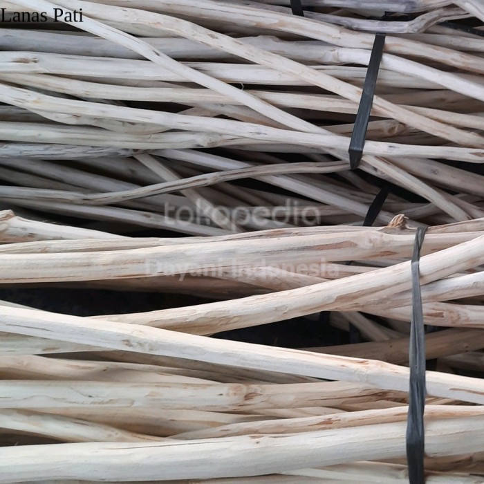 

Teak Wood Branch | Ranting Kayu Jati Bahan Macrame Ready Stok Eceran XD10