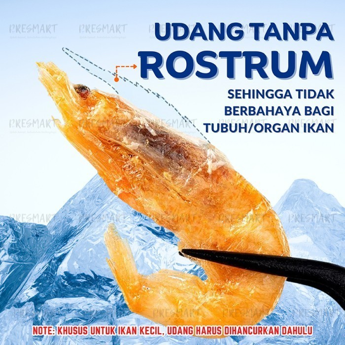 KL Udang Kering Premium Pakan Ikan / Pakan Kura kura /Pakan Arwana Louhan