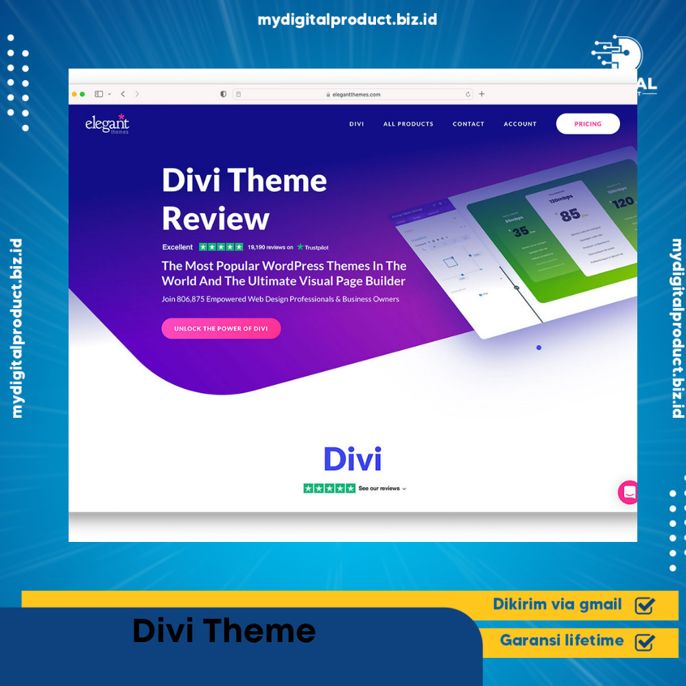 Divi WordPress Theme + Api Key + User Name Original