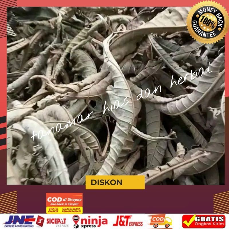 

Daun sunkai sungkai kering obat herbal 200gram termurah bisa COD