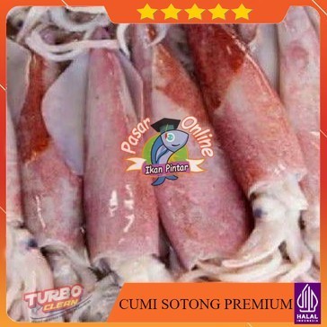 

CUMI TERLENGKAP KUALITAS EKSPOR | SOTONG | BANGKA | CANTIK | MANTEN | BABY CUMI SEGAR FRESH PREMIUM