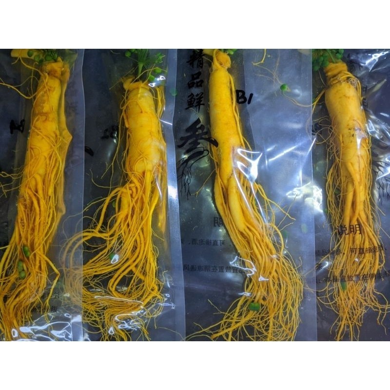 

Akar Ginseng 200 Gram Original Impor