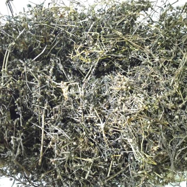 

Rumput Mutiara Kering Asli 1kg