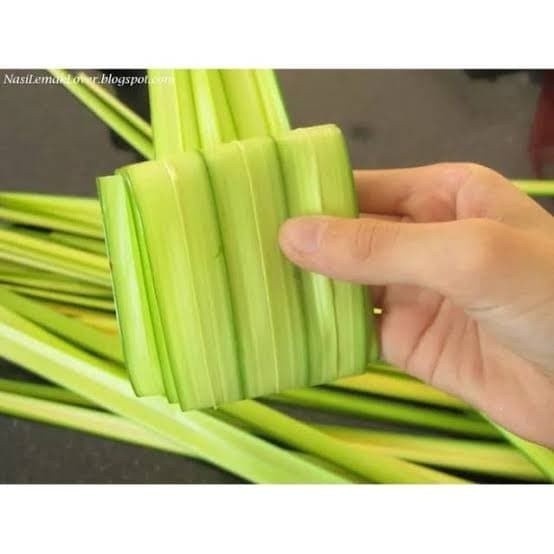 

Daun Kelapa Muda Bahan Cangkang Ketupat Lebaran kang store ready