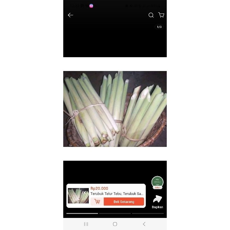 

terubuk tebu 500gram