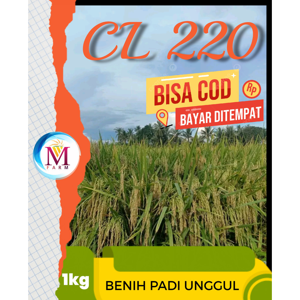 Benih padi cl 220 kemasan 1kg