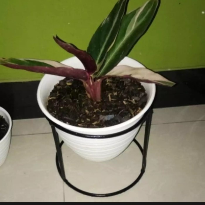 STANDING RAK POT BUNGA MINI/RAK POT TANAMAN HIAS/RAK POT PAJANGAN HIAS