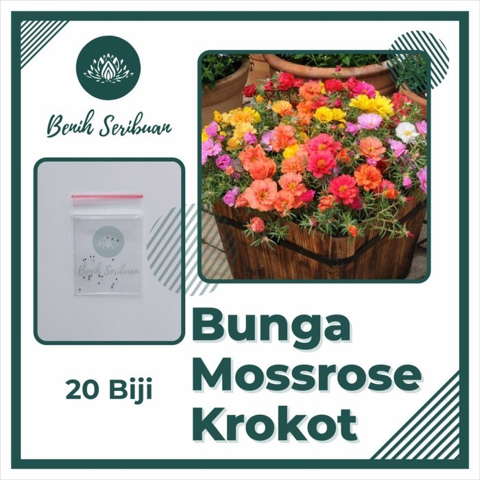 20 Bibit Bunga Mossrose Mix Krokot Benih Moss Rose Portulaca Import - MOSSROSE KROKOT