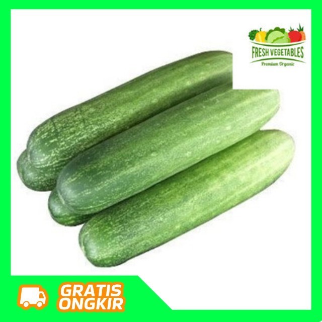 

Timun Segar -BUMI99 #sayursegar #sayurbekasi #sayurterdekat #sayurtermurah