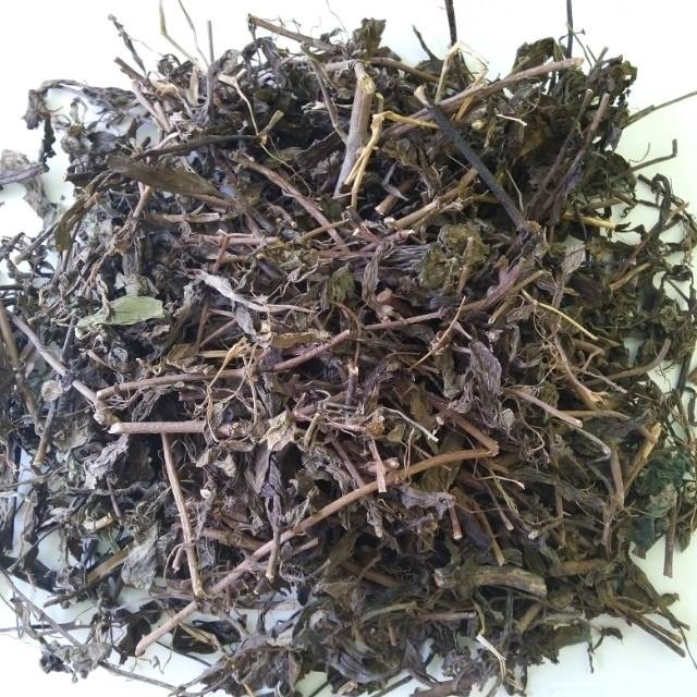 

Daun Kumis Kucing Kering 500gr / Herbal Kumis Kucing Asli Murni