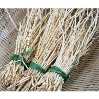 

Akar alang alang sgar 500 gr akar herbal