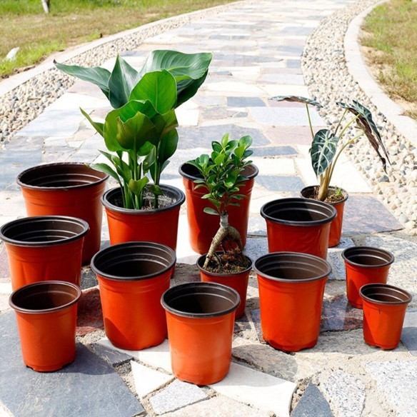 【Beli 10 Gratis 3】Pot Bibit Pot Bunga Plastik Tanam Pot Pembibitan Untuk Transplantasi Succulent Berformasi