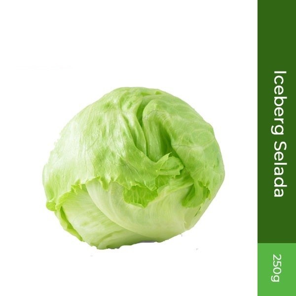 

Iceberg Selada 250gr