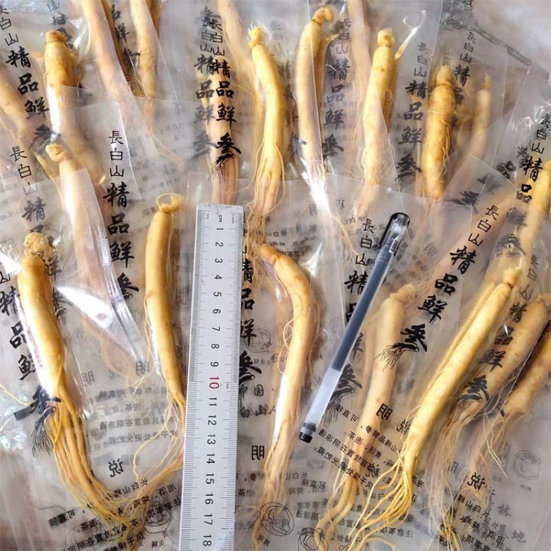 

Akar Ginseng Paket Hemat Isi 10 kemasan 20 Gram (cod)
