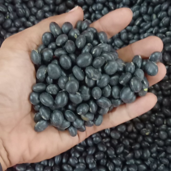 

GL Kacang Kedelai Hitam Import @ 10 Kg.