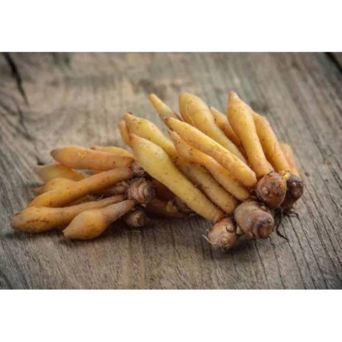 

TEMU KUNCI FRESS BASAH 1 KG (CURCUMA XANAHORRIZA) ready .