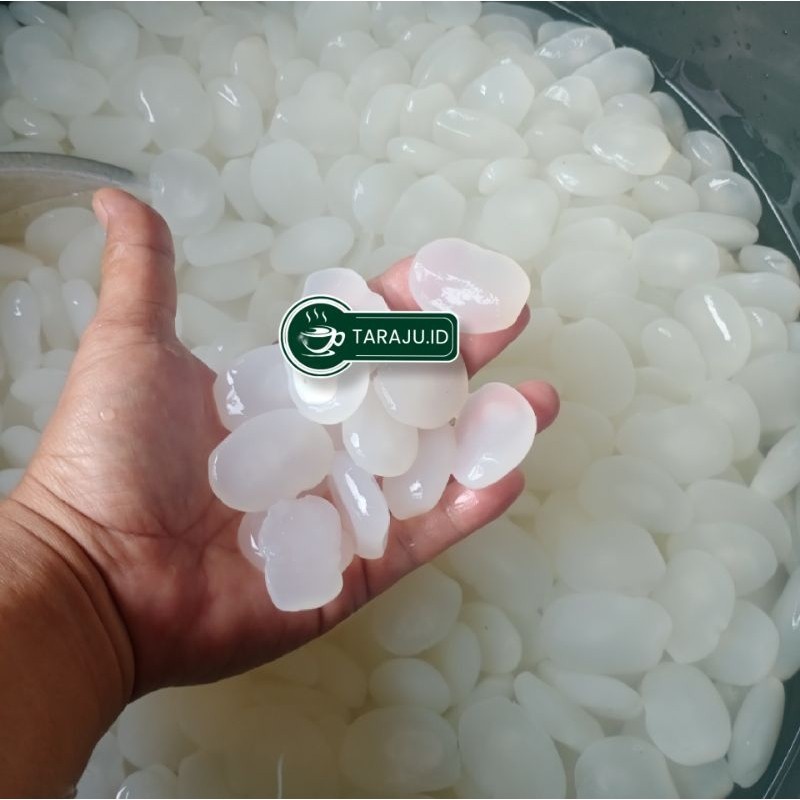 

PROMO SEGAR Kolang Kaling Segar 1kg Kolang Kaling Fresh ready