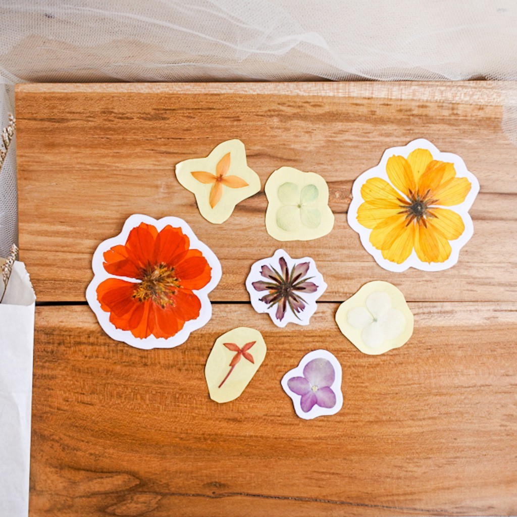 

big pressed flower sticker by herbaria