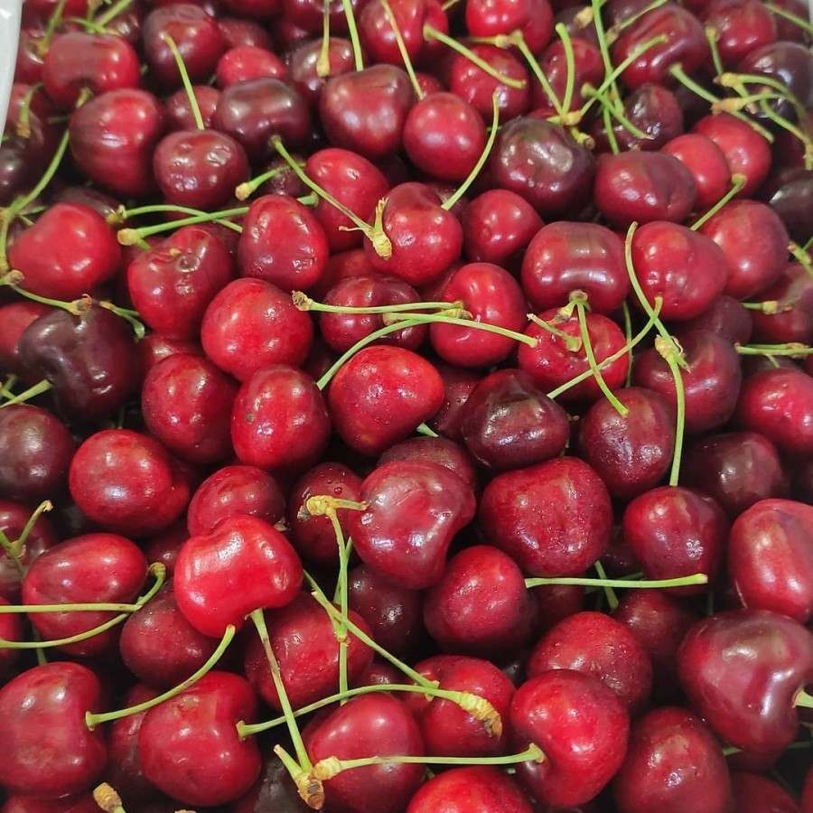 

Buah Cherry Red Cherry Merah Fresh Import / 1 Pack 250gr - BEST Fresh Food