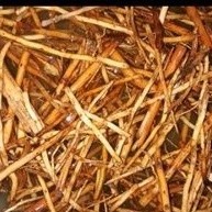 

Akar pinang segar 250 gram