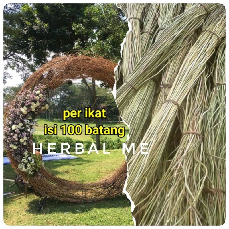 COD Akar Manon Terlaris - Ring Rustic - Dekorasi Murah - Mentau - Cane - Rotan - Bahan Kerajinan rea